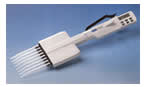 Proline Electronic Calibration