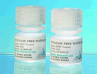 Rnase Free Water